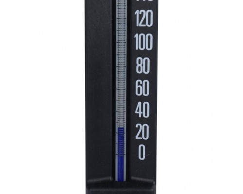 Watts  Термометр спиртовой прямой (штуцер 50 мм)